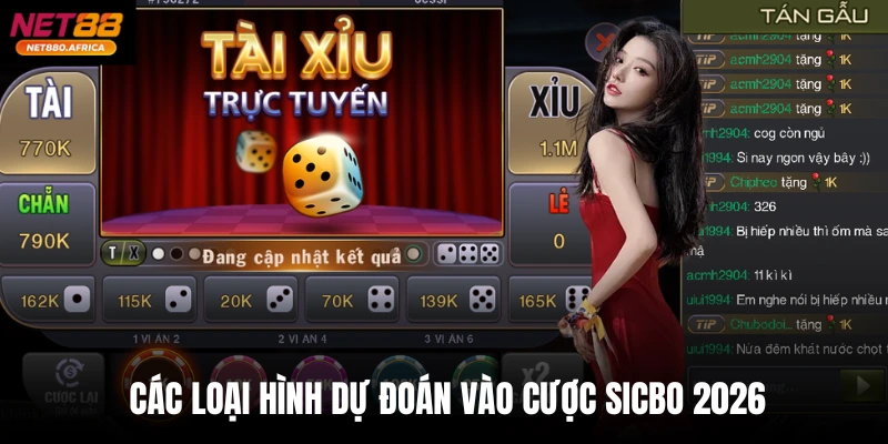 Các loại hình dự đoán vào cược Sicbo 2026