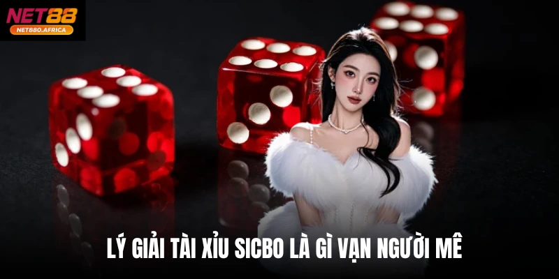 Lý giải Tài xỉu Sicbo là gì vạn người mê