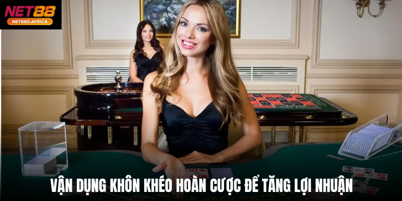 Chính Sách Hoàn Trả Tại Sảnh Casino Net88 Giúp Cược An Toàn 3 Vận dụng khôn khéo hoàn cược để tăng lợi nhuận